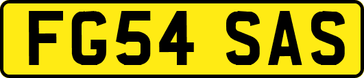FG54SAS