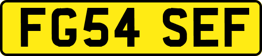 FG54SEF