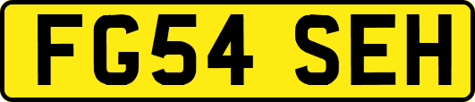 FG54SEH