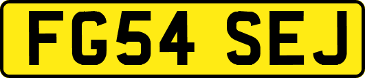 FG54SEJ