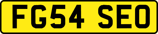 FG54SEO