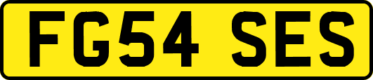 FG54SES