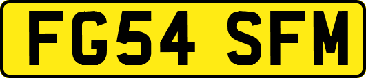 FG54SFM
