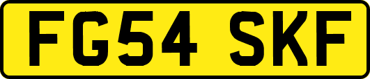 FG54SKF