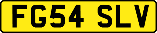 FG54SLV