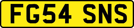 FG54SNS