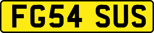 FG54SUS