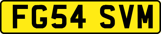 FG54SVM