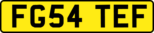 FG54TEF