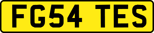 FG54TES