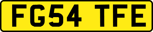 FG54TFE