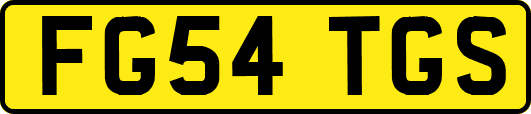 FG54TGS