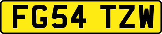 FG54TZW