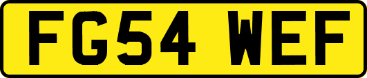 FG54WEF