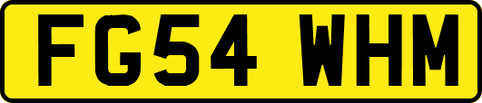 FG54WHM