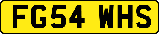 FG54WHS