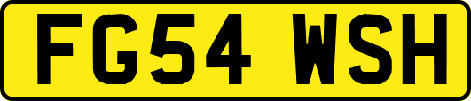 FG54WSH