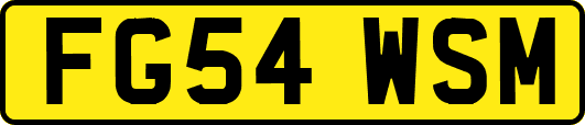 FG54WSM