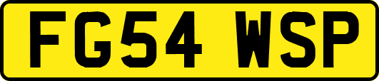 FG54WSP