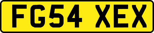 FG54XEX
