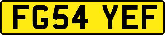 FG54YEF