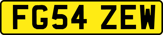 FG54ZEW