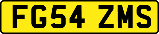 FG54ZMS