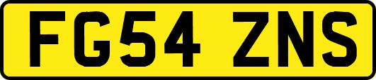 FG54ZNS