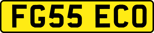 FG55ECO