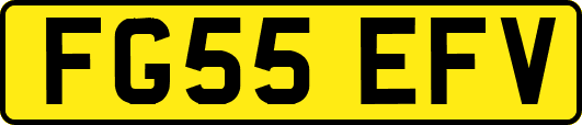 FG55EFV