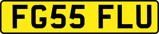FG55FLU