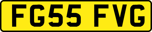 FG55FVG