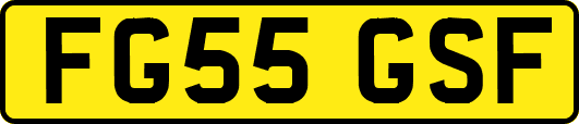 FG55GSF
