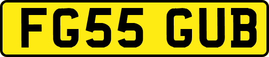 FG55GUB