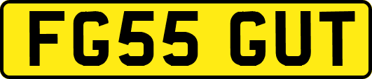 FG55GUT