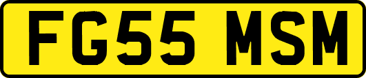 FG55MSM