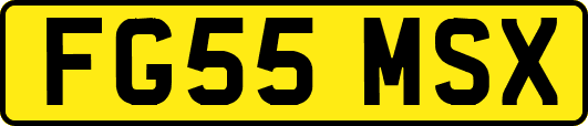 FG55MSX