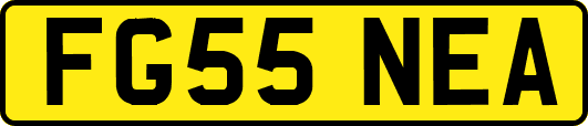 FG55NEA