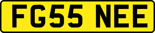 FG55NEE