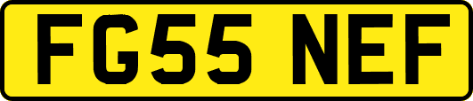 FG55NEF