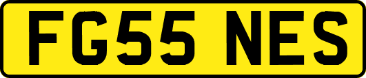 FG55NES
