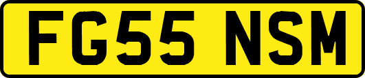 FG55NSM