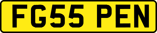 FG55PEN