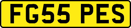 FG55PES