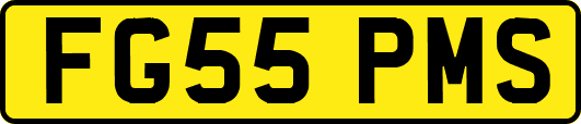 FG55PMS