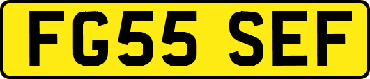 FG55SEF