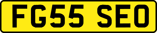 FG55SEO