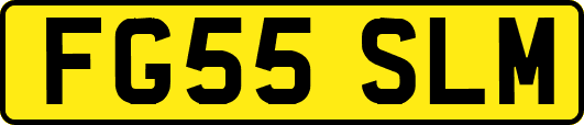 FG55SLM