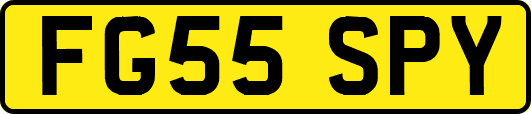 FG55SPY