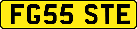 FG55STE